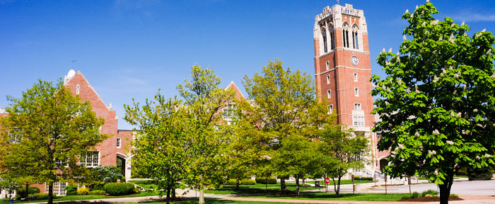 campus during sunny day