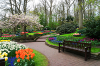 The Keukenhof Gardens in Lisse, the Netherlands