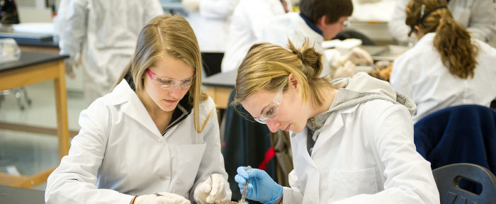 Lab Researcg