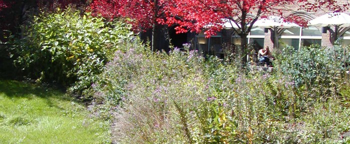 Native Prairie Garden